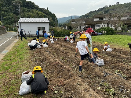 芋掘り平