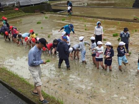 田植え③