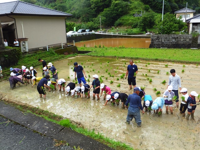 田植えｓｓ