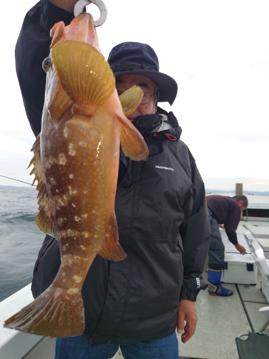 アジ泳がせ釣り