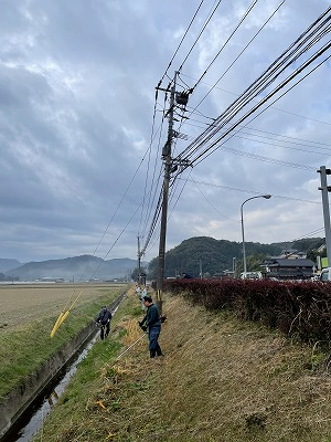 ひだまりの花畑_2022_0313⑤