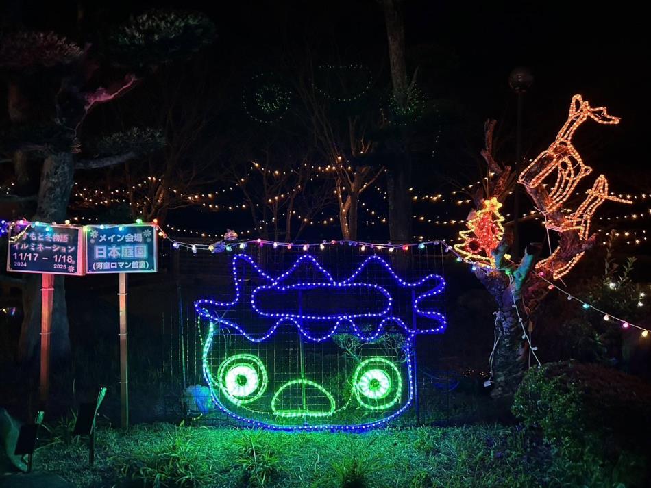 2024じゅうえん公園イルミネーション (1)