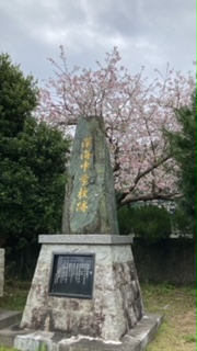 小学校桜