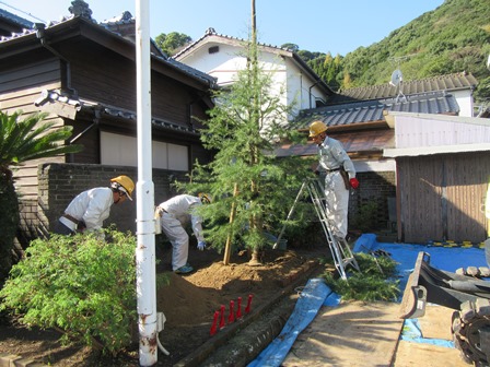 植樹祭