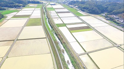 小宮地新田【空撮】20220330⑥