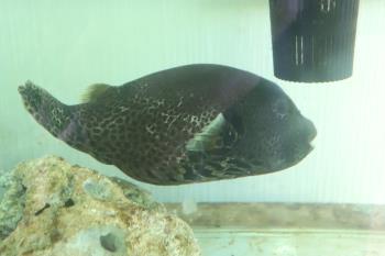 おめでとうございます('◇')ゞ