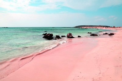 16 7 28 ピンクの砂浜 スマイル日記 スマイルホーム
