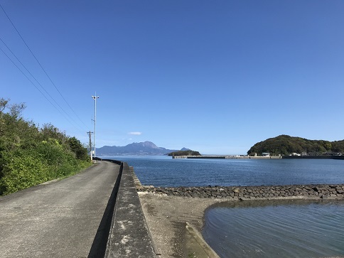 すじの海