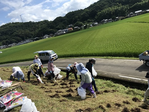 球根植えＲ３
