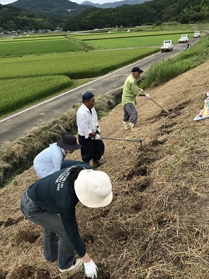 球根作業１