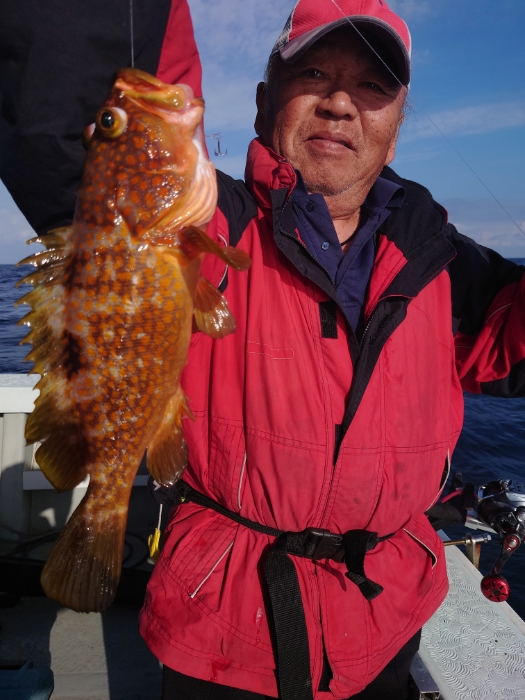 アジ泳がせ釣り