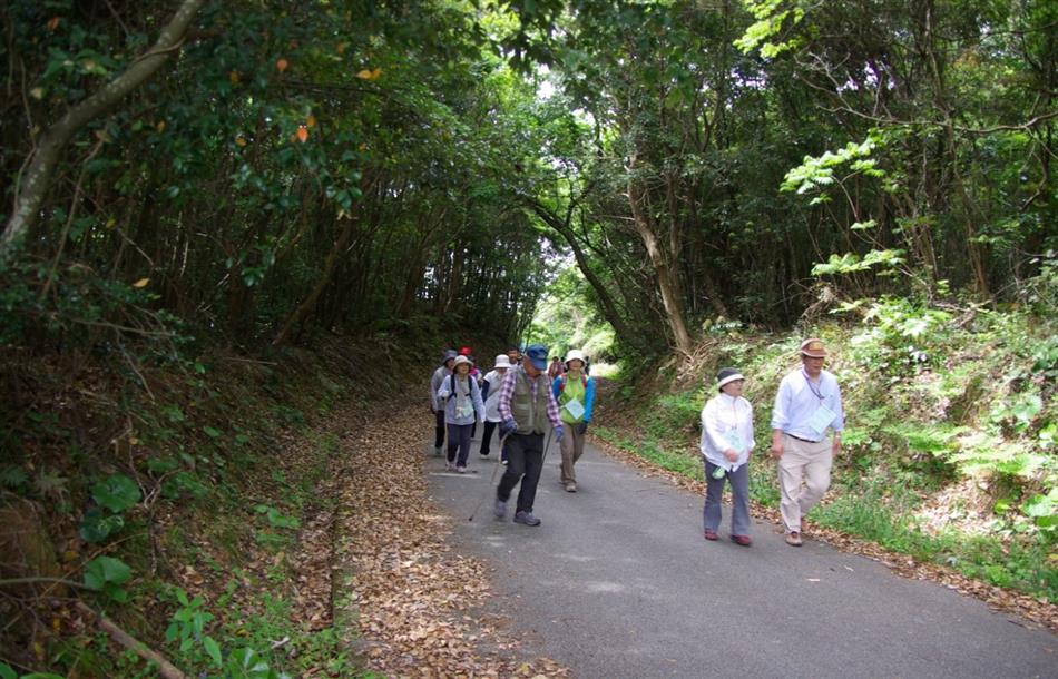 竜洞山健康ウォーク