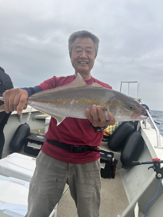 落とし込み釣り
