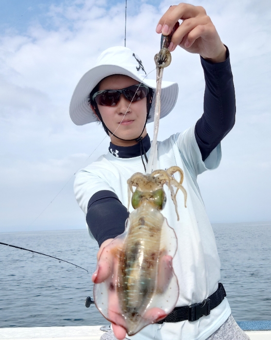 バチコン　ティップラン