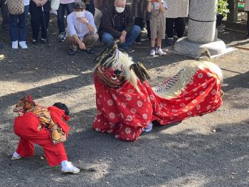 秋祭り③