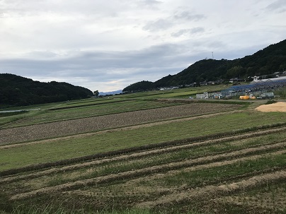 シーズンオフの田んぼ