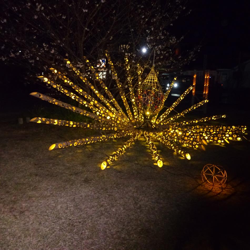 竹あかり・桜祭り