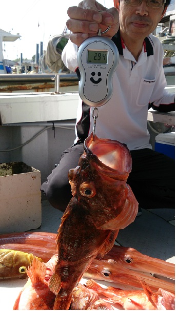 泳がせ釣り