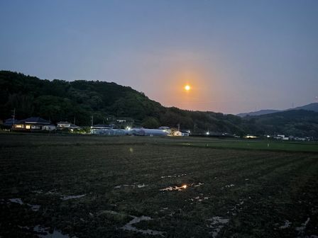 フラワームーン②
