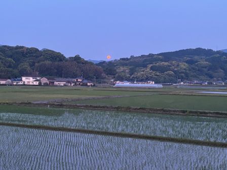 予想はしていたけれど・・・