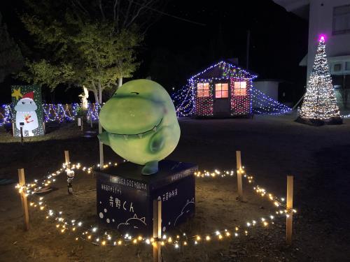 イルミネーション点灯式