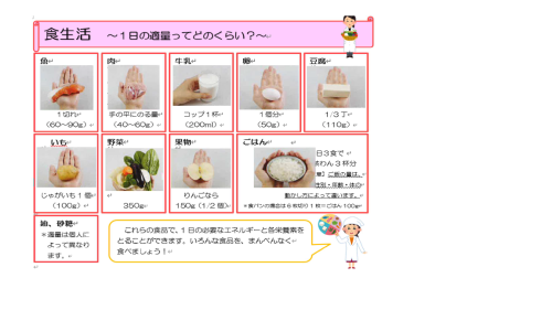 食事の1日の適量は？