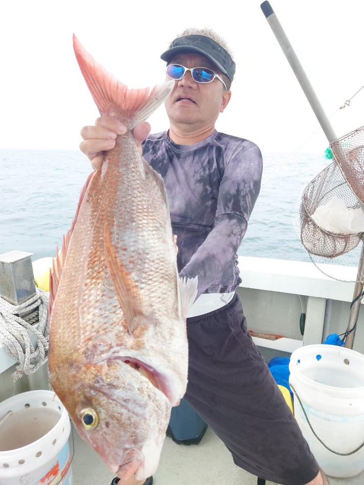 落とし込み釣り