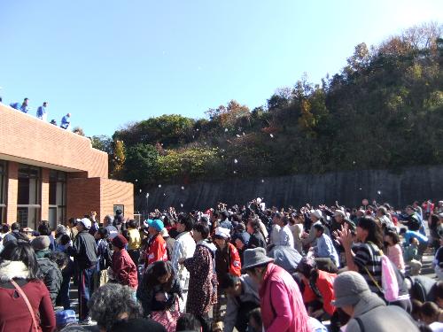 Ｈ２４うまかもん収穫祭
