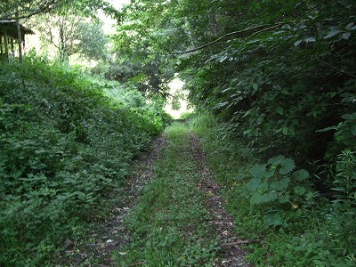 官山遊歩道草刈り