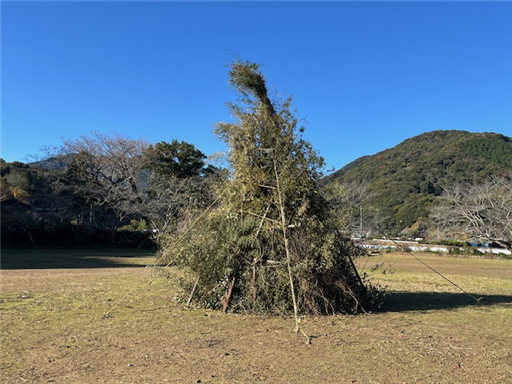 今年は数で勝負！