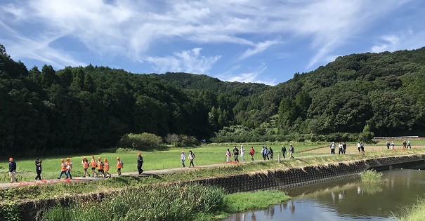 彼岸花と川