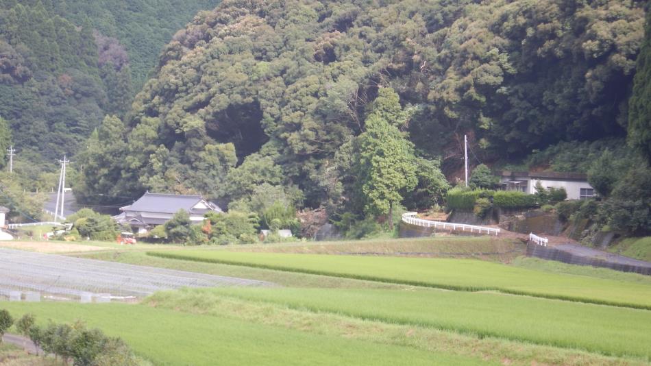 20250811状況 (7)