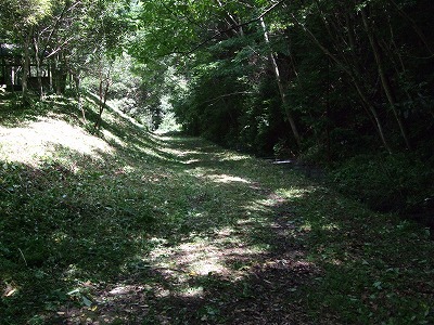 官山遊歩道草刈り