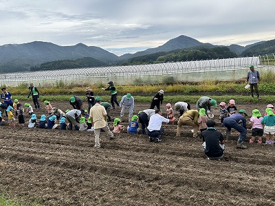 ひだまりの花畑にひまわり・コスモスの種をまきました
