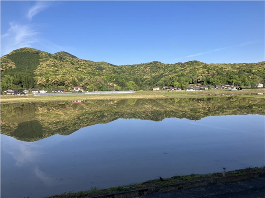楠甫2