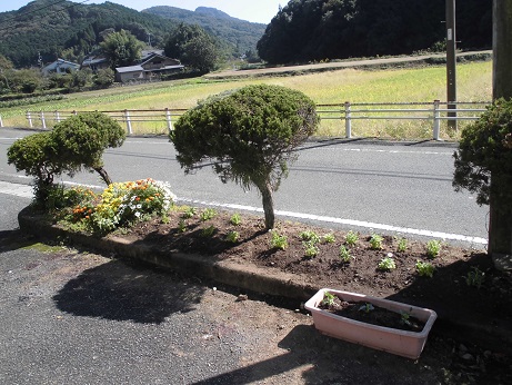 花苗植え　２０１７　２