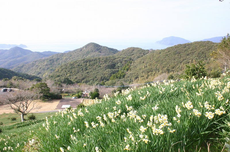 すいせん公園②
