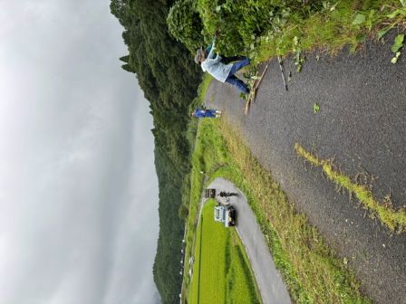 みどりのかずら