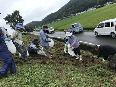 みどりの球根　２