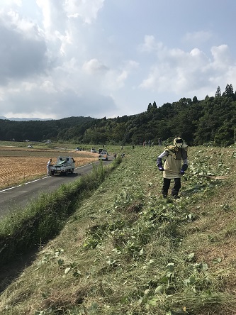 作業みどり