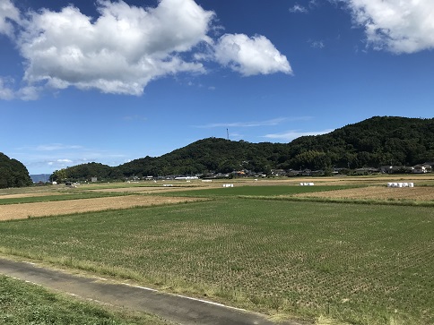 みどりの作業清々しい