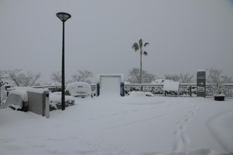 雪２