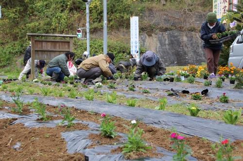花植え3