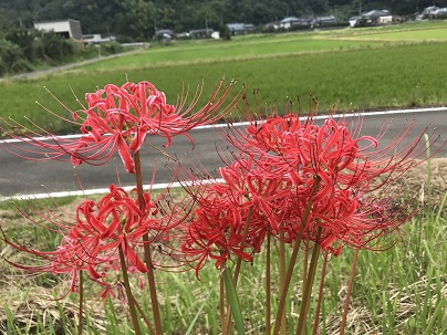 ⑤