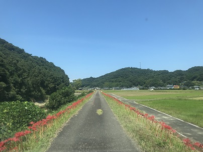 彼岸ばなん　４