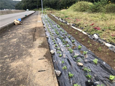 R7花いっぱい運動