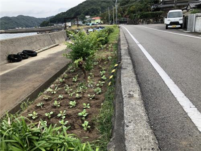 R7花いっぱい運動