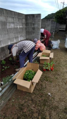 R7花いっぱい運動