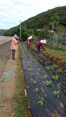 R7花いっぱい運動