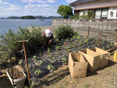 R7花いっぱい運動